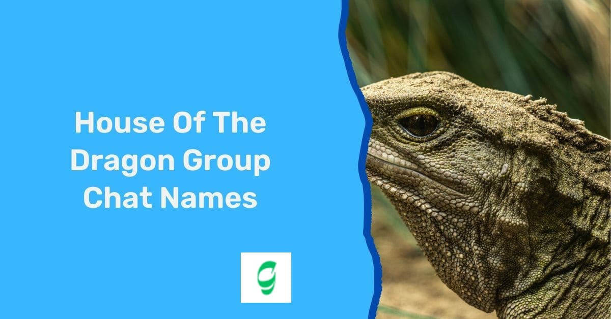 House Of The Dragon Group Chat Names